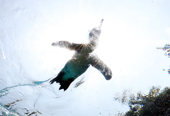 아직 뜨거운 태양