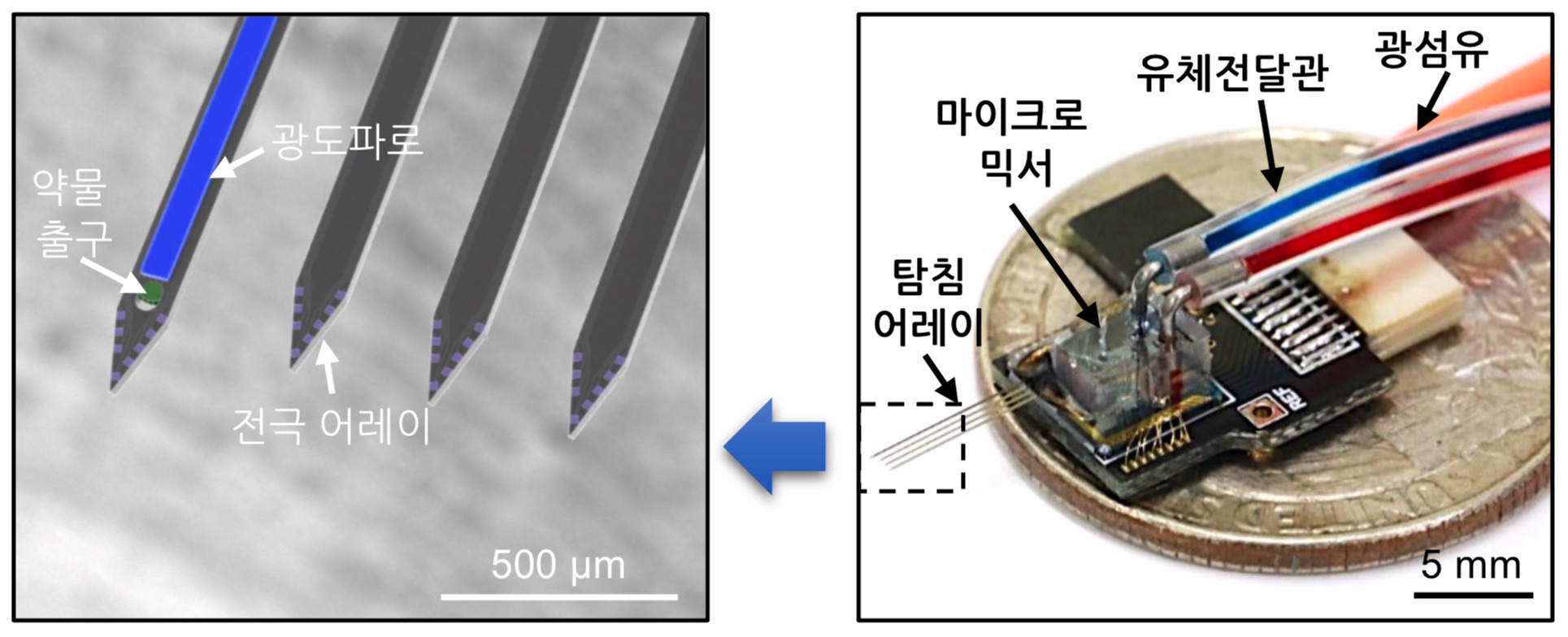 브레인칩을 구성하고 있는 다기능 탐침 어레이