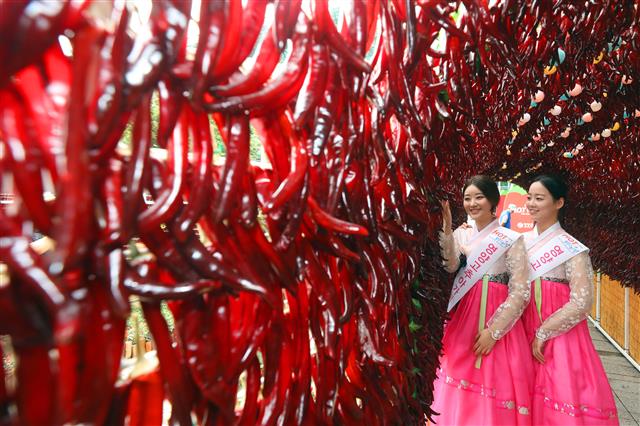 ‘영양고추 만나보세요’