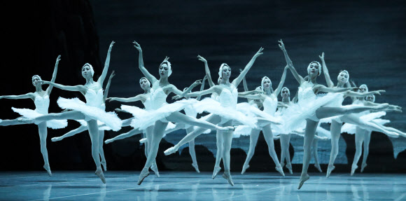 ‘백조의 날개짓’