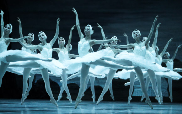 ‘백조의 날개짓’