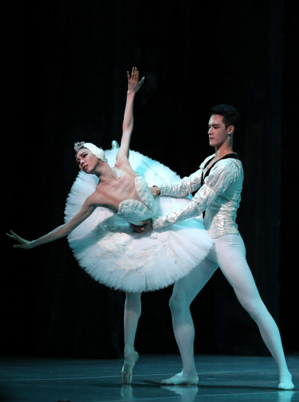 ‘우아한 백조의 향연’