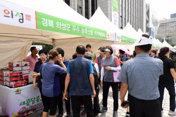 27일 서울 중구 세종대로 서울마당에서 열린 2019 경북의성 농특산물 직거래 장터를 찾은 사람들이 다양한 특산물을 구매하고 있다. 2019.8.27. 도준석 기자 pado@seoul.co.kr