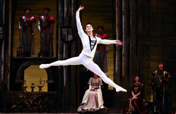 발레의 대명사, 백조의 호수