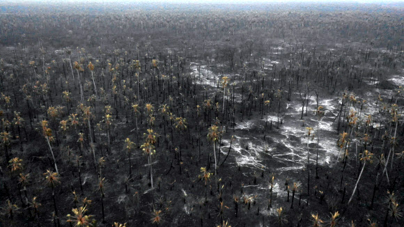 브라질 이어 볼리비아 아마존도 삼킨 산불 