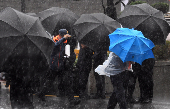 폭우가 내린 29일 서울 종로구 적선현대빌딩에 인근에서 시민과 경찰들이 우산으로 간신히 비를 막고 있다.2019. 8. 29. 박윤슬 기자 seul@seoul.co.kr