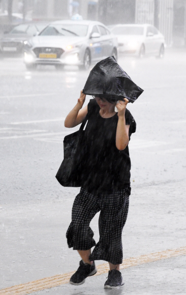 가을을 재촉하는 집중호우가 내린 29일 오전 서울 중구 세종대로를 지나는 사람들이 비닐봉지로 비를 피하고 있다. 2019.8.29. 도준석 기자 pado@seoul.co.kr