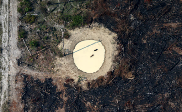 An aerial view of a burned tract of Amazon jungle as it was cleared by loggers and farmers near Porto Velho