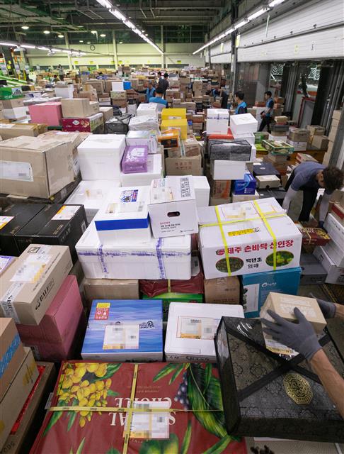 추석 명절을 열흘 앞둔 3일 오전 서울 광진구 동서울우편물류센터에서 직원들이 명절선물 및 택배물품들을 분류하고 있다. 우정사업본부는 추석 명절 택배 우편물이 약 1,800만 개가 접수될 것으로 예상해 오는 17일까지를 특별소통기간으로 지정, 정시 배달을 위해 3,000여 명의 인력과 3,060여 대의 차량을 추가로 투입한다. 2019.9.3 뉴스1