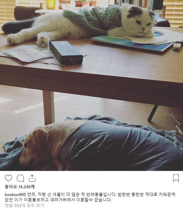 구혜선 인스타그램  