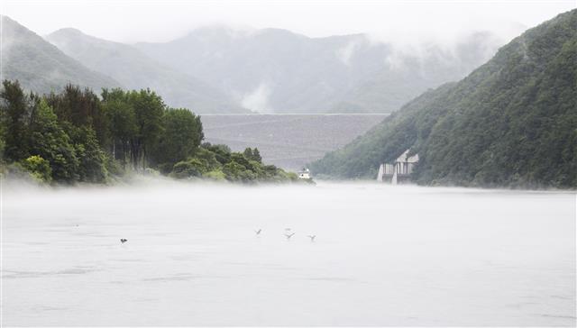 소양강 물안개 풍경