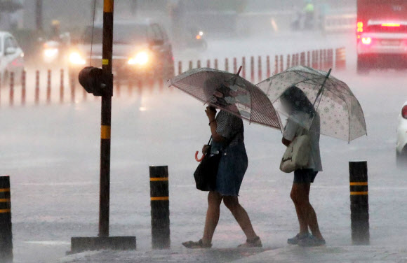 세차게 쏟아지는 비