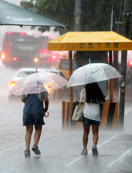 세차게 쏟아지는 비