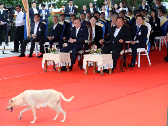5일 오후 라오스 비엔티안시 메콩강변 사업현장에서 한 강아지가 관련 브리핑을 듣고 있는 문재인 대통령과 분냥 보라치트 라오스 대통령 앞을 지나고 있다. 이 개는 갑자기 연단 앞을 가로질러 지나갔다. 2019.9.5  연합뉴스