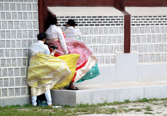 ‘강풍을 피하고 싶어서’