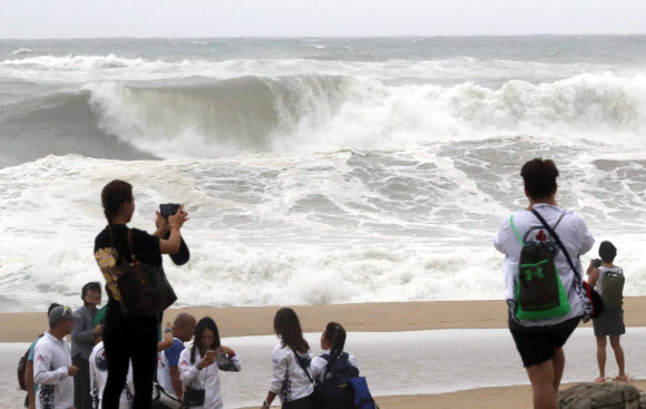 태풍 파도 구경하는 외국인