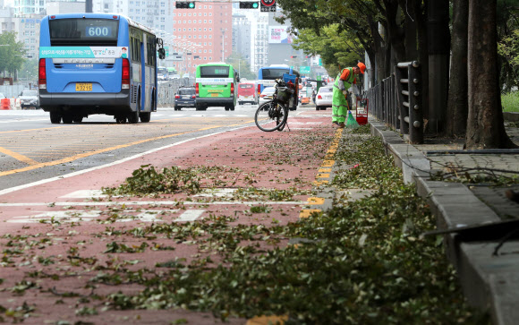 제13호 태풍 ‘링링’의 영향에서 벗어난 8일 오전 서울 여의도공원 앞 대로변에서 영등포구 관계자가 잔해물을 치우고 있다. 2019.9.8  연합뉴스