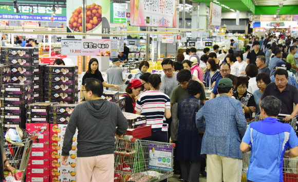 추석을 닷새 앞둔 8일 농협유통 하나로 양재점이 명절장을 보려는 사람들로 붐비고 있다. 2019.9.8.     이종원 선임기자 jongwon@seoul.co.kr