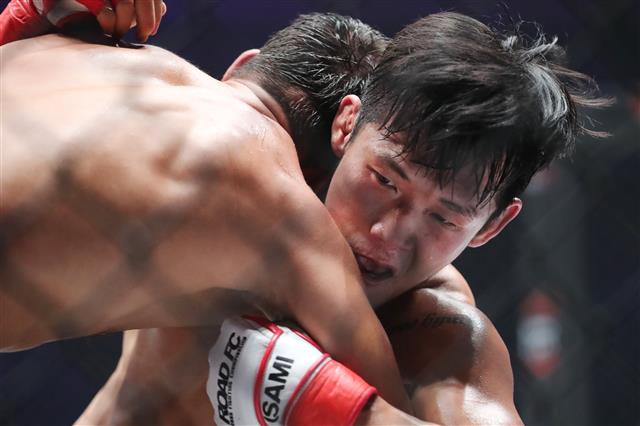 8일 오후 대구실내체육관에서 열린 ‘굽네몰 로드FC 영건스 44’ 라이트급(Lightweight) 경기에 출전한 최우혁과 소얏트가 격돌하고 있다.  로드FC 경기 최초로 대구에서 열린 이번 대회는 킹덤주짓수와 대구영우회가 주관하며 일반석 3367석과 추가로 설치된 플로어석 288석까지 전석 매진을 기록해 글로벌 격투 스포츠 리그 로드FC의 뜨거운 인기를 실감케 하고 있다. 2019.9.8 뉴스1