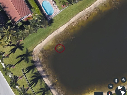 미국 플로리다의 한 호수에 가라앉은 22년 전 실종 남성 승용차. 구글어스 캡처 2019.9.13