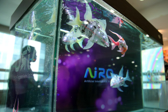 16일 오전 국회 의원회관에서 열린 ‘인간-로봇의 공존시대 로봇이 그리는 미래’ 로봇 전시회에서 로봇 물고기 ‘마이로’가 물속을 헤엄치고 있다. 2019.9.16  연합뉴스