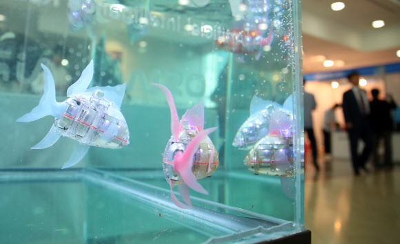 16일 오전 국회 의원회관에서 열린 ‘인간-로봇의 공존시대 로봇이 그리는 미래’ 로봇 전시회에서 로봇 물고기 ‘마이로’가 물속을 헤엄치고 있다. 2019.9.16  연합뉴스