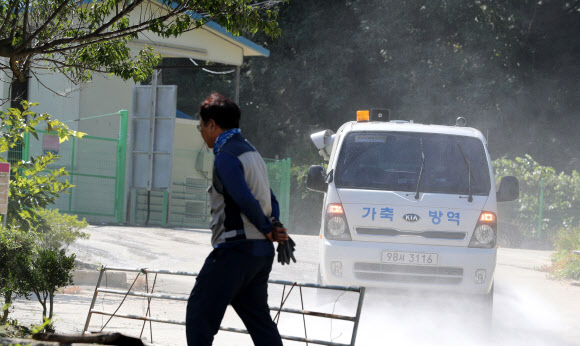 양구도 아프리카돼지열병 방역 작업 시작
