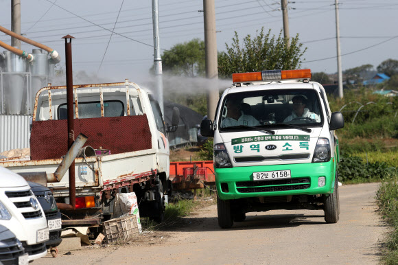 국내 첫 아프리카돼지열병 발생