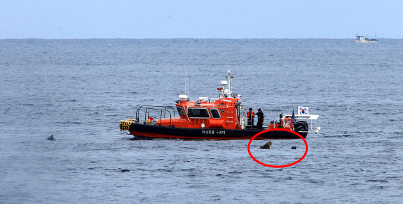 20일 오전 9시께 강원 고성군 죽왕면 문암항 동방 약 2㎞ 해상에서 북한 어선으로 추정되는 목선이 물에 잠긴 채 떠 있는 것을 어민이 발견, 긴급 출동한 해경이 인양준비작업을 하고 있다. 목선의 선수 부분 약 50㎝가 수면 위로 보인다. 2019.9.20  연합뉴스