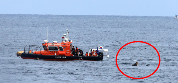 20일 오전 9시께 강원 고성군 죽왕면 문암항 동방 약 2㎞ 해상에서 북한 어선으로 추정되는 목선이 물에 잠긴 채 떠 있는 것을 어민이 발견, 긴급 출동한 해경이 인양준비작업을 하고 있다. 목선의 선수 부분 약 50㎝가 수면 위로 보인다. 2019.9.20  연합뉴스