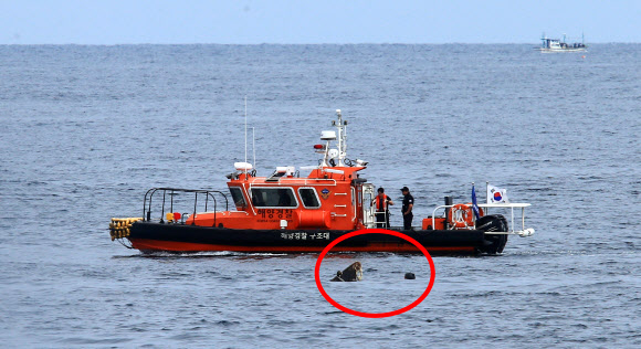 20일 오전 9시께 강원 고성군 죽왕면 문암항 동방 약 2㎞ 해상에서 북한 어선으로 추정되는 목선이 물에 잠긴 채 떠 있는 것을 어민이 발견, 긴급 출동한 해경이 인양준비작업을 하고 있다. 목선의 선수 부분 약 50㎝가 수면 위로 보인다. 2019.9.20 연 합뉴스