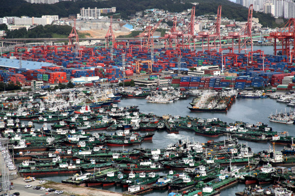 제17호 태풍 ‘타파’가 세력을 키우면서 우리나라를 향해 북상 중인 20일 부산 동구 부산항 5부두에 선박들이 피항해 있다. 2019.9.20  연합뉴스