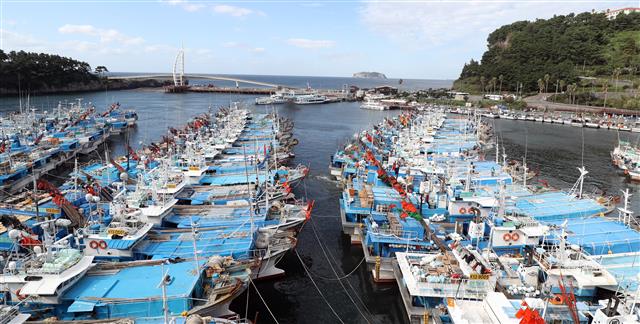 제주도가 20일 오후부터 제17호 태풍 ‘타파’의 영향권 안에 들 것으로 예측되는 가운데 이날 오전 서귀포 서귀동 서귀포항에 선박들이 피항해 있다.2019.9.20 뉴스1