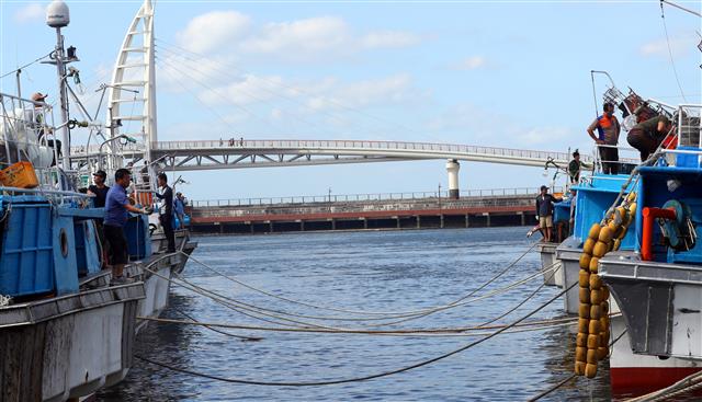 제주도가 20일 오후부터 제17호 태풍 ‘타파’의 영향권 안에 들 것으로 예측되는 가운데 이날 오전 서귀포 서귀동 서귀포항에서 선원들이 선박 결박 작업을 하고 있다.2019.9.20 뉴스1