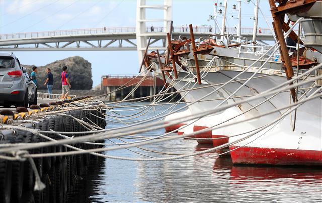 제주도가 20일 오후부터 제17호 태풍 ‘타파’의 영향권 안에 들 것으로 예측되는 가운데 이날 오전 서귀포 서귀동 서귀포항으로 피항한 선박들이 결박돼 있다.2019.9.20 뉴스1