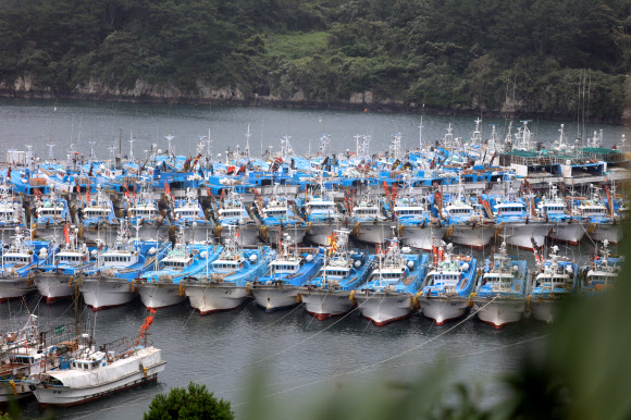 태풍 소식에 대피한 선박들