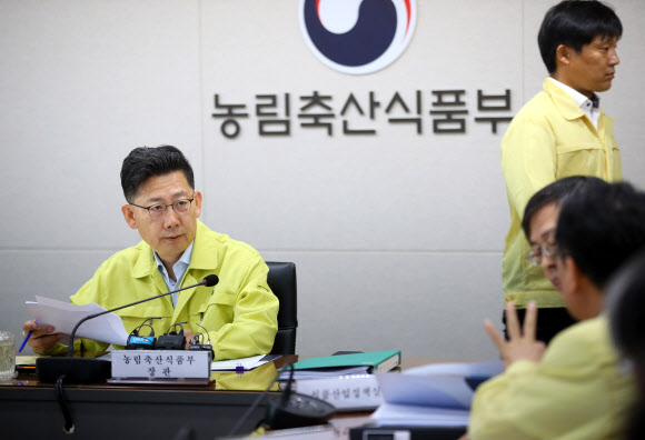 김포 의심축 신고에 또 다시 비상