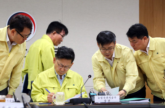 ‘김포 의심축?태풍’에 ASF 방역 또 비상