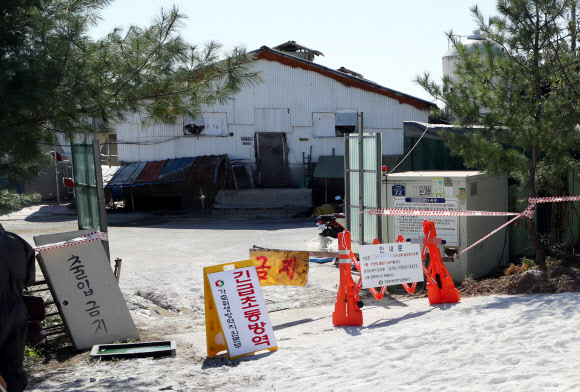 돼지열병 의심 신고된 김포 양돈농장