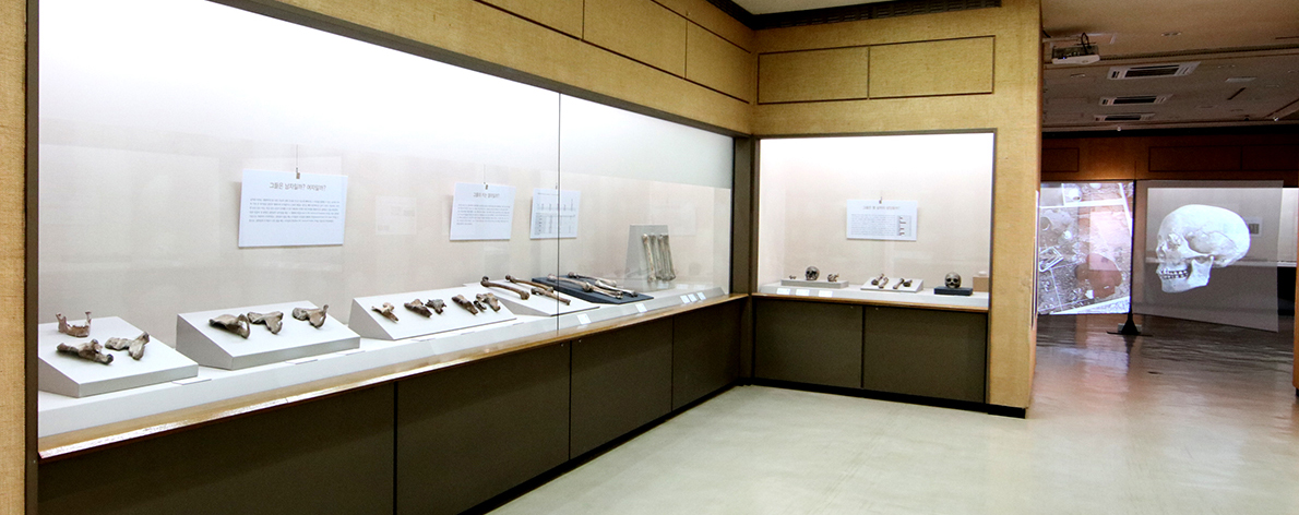 영남대 박물관 특별전, 고대 압독 사람들을 되살리다 전시 모습