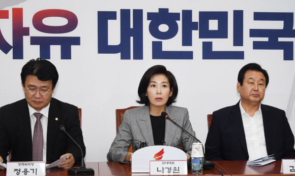 자유한국당 나경원 원내대표가 25일 오전 국회에서 열린 원내대표-중진의원 회의에서 발언하고  있다. 2019.9.25. 김명국선임기자 daunso@seoul.co.kr
