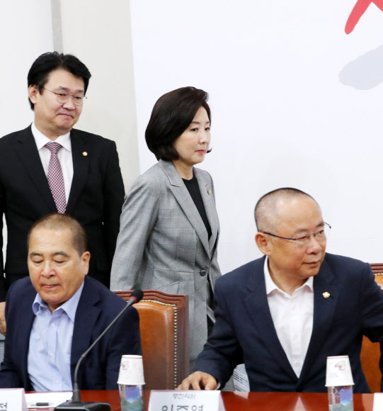 원내대표-중진의원 회의 들어서는 나경원