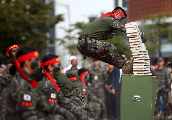28일 오후 서울광장에서 열린 제69주년 서울수복 기념행사에서 해병대 무적도 시범이 열리고 있다. 2019.9.28  연합뉴스