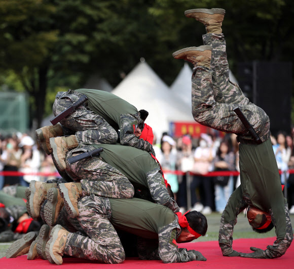 28일 오후 서울광장에서 열린 제69주년 서울수복 기념행사에서 해병대의 무적도 시범이 열리고 있다. 2019.9.28  연합뉴스