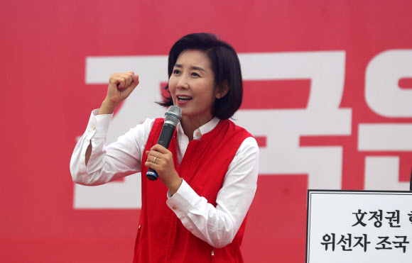 자유한국당 나경원 원내대표가 28일 오후 경남 창원시 의창구 두대동 창원 만남의 광장에서 열린 ‘자유한국당 경남도당 조국 파면 촉구 경남대회’에서 구호를 외치고 있다. 2019.9.28  연합뉴스