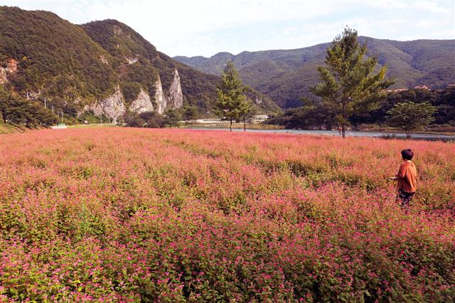 붉게 물든 가을 속으로
