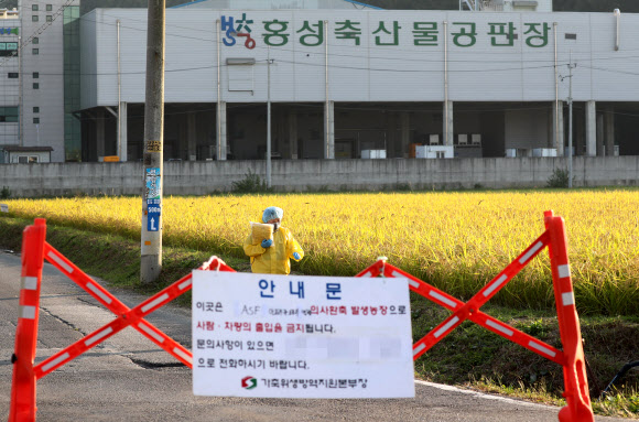 긴장감 흐르는 홍성 도축장