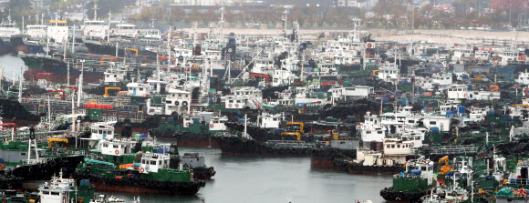 제18호 태풍 ‘미탁’(MITAG)이 북상중인 1일 부산 동구 부산항 5부두(관공선부두)에 선박이 가득하다. 미탁은 개천절인 3일 우리나라를 강타할 것으로 보인다. 2019.10.1  연합뉴스