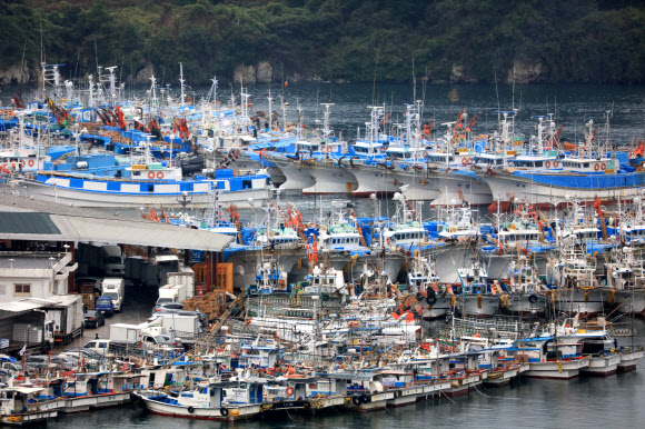 제18호 태풍 ‘미탁’이 제주를 향해 북상하고 있는 가운데 1일 오전 서귀포항에 평소 보다 많은 어선들이 정박해 있다. 2019.10.1  연합뉴스