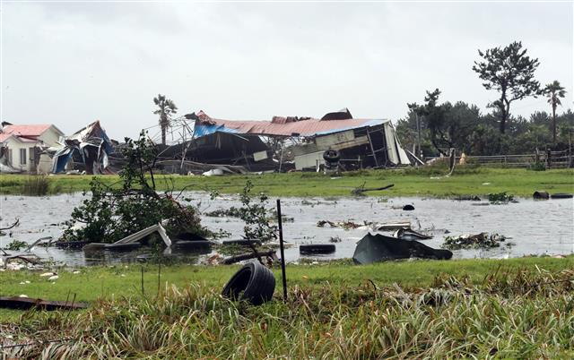 태풍 ‘미탁’에 폐허된 목장